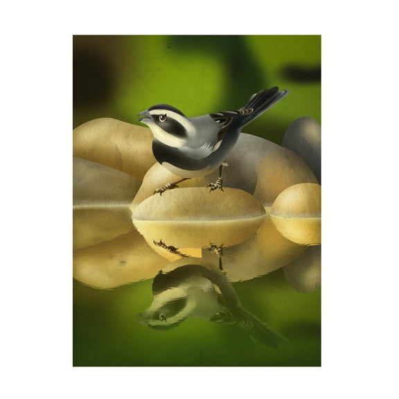 Trademark Fine Art Franco Caballero Monterita de collar Canvas Wall Art