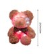 thumbnail image 3 of Yhmxh Oso de peluche luminoso, lindo y adorable. El oso graba y se ilumina. Muñeco para el Día de San Valentín., 3 of 6