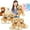 9-pack, variant on MaoGoLan 12 Packs Teddy Bear 14" Bulk Stuffed Animals Plush Toy