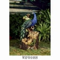 thumbnail image 2 of Jeco Peacock Outdoor Fountain in Blue and Brown, 2 of 2