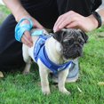 thumbnail image 4 of 1pc Arnés de perro transpirable Chaleco de malla de poliéster Correa Correa de pecho para mascotas (Azul Ndcxsfigh Para estrenar, 4 of 9