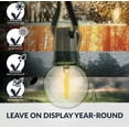 thumbnail image 5 of Indoor/Outdoor 50 ft. Plug-In Globe Bulbs Party LED Outdoor String Lights with 55 LED G40 Bulbs Included (5-Free Bulbs), 5 of 6