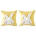 thumbnail image 1 of Caja Almohada Conejito Pascua 45x45cm Case Conejo Felpa (espalda Conejo) Amarillo, 1 of 5