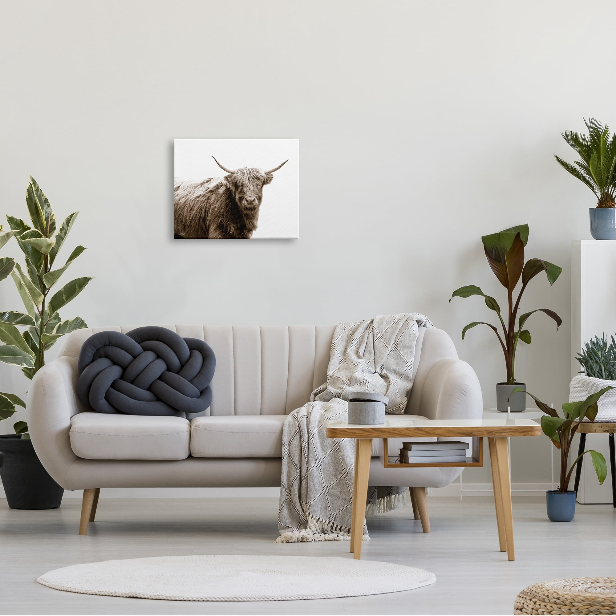 Stupell Industries Quaint Longhorn Cattle Country Animal Photography Canvas Wall Art, 30 x 24, Design by Donnie Quillen