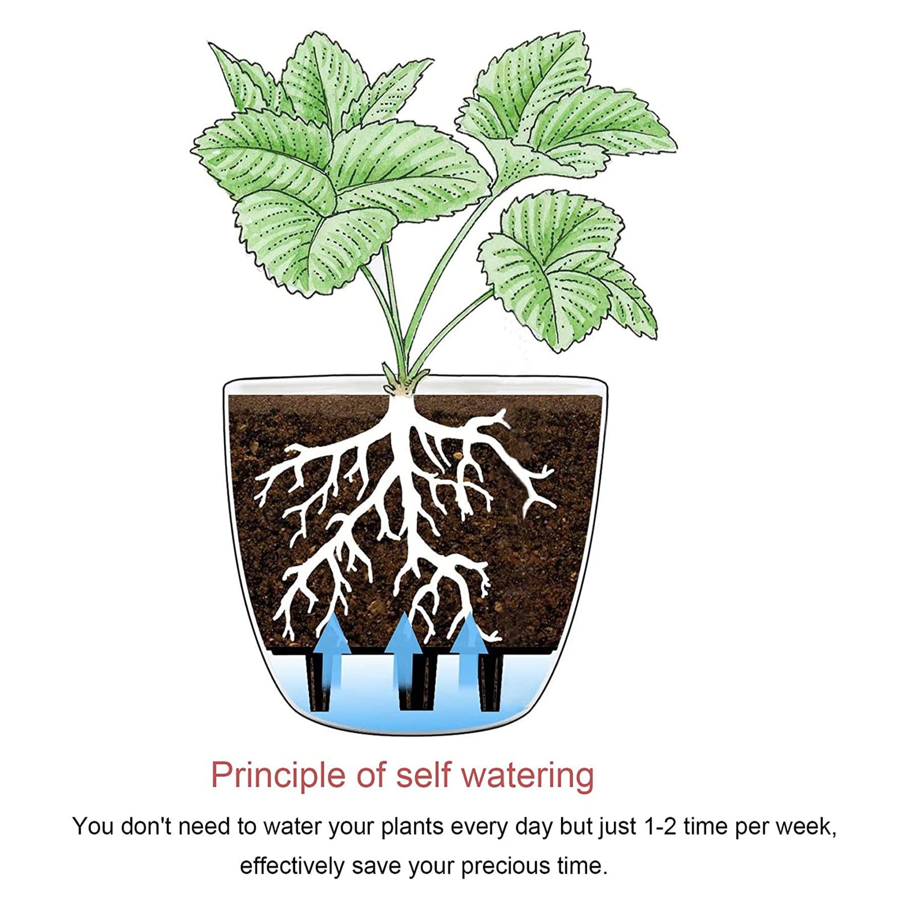 how to set up a self-watering plant straw system - The Plant Project