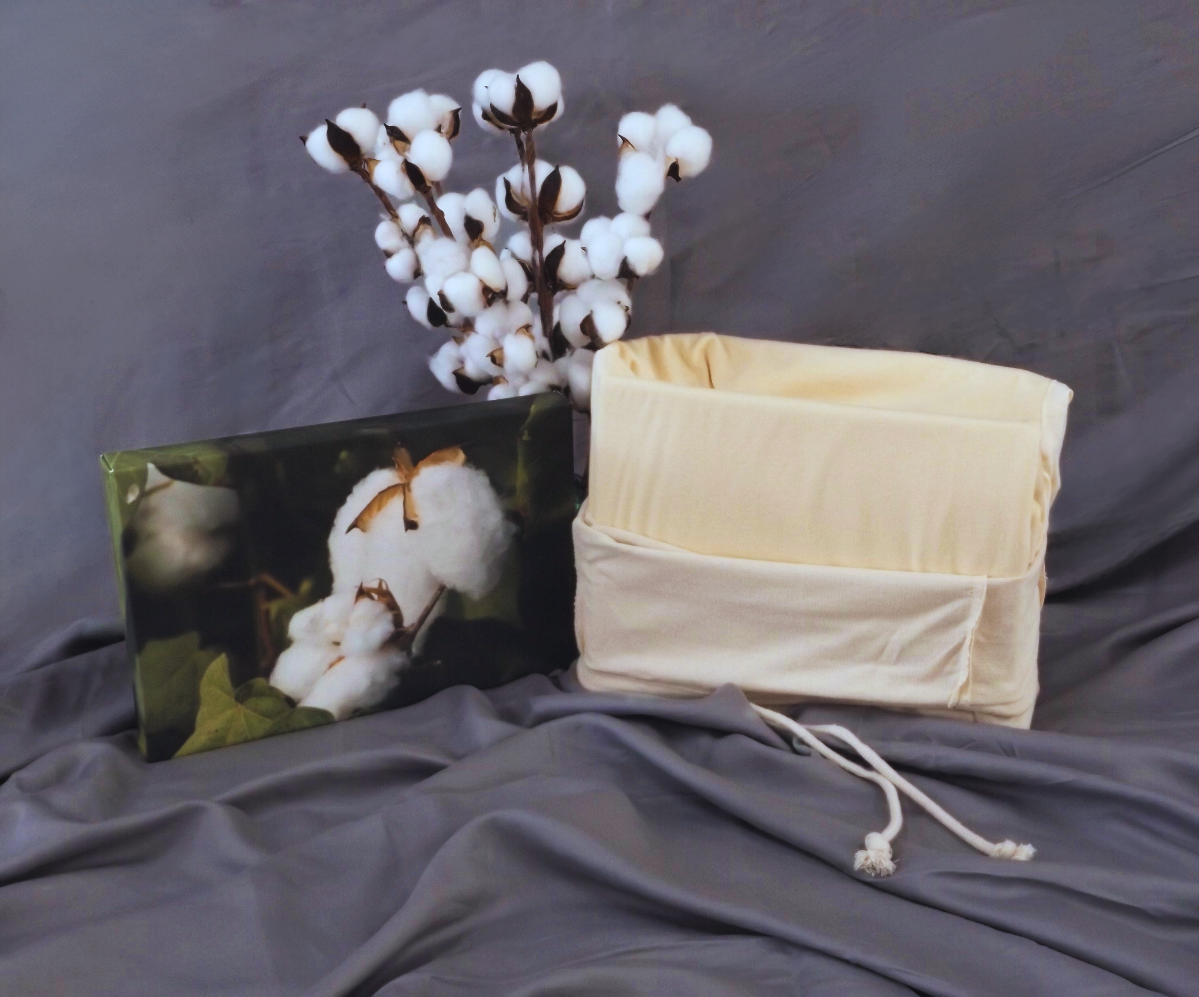 Simply Cuddly Brand Full Waterproof 100% Organic Cotton Mattress Protector, Chemical Free