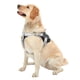 thumbnail image 5 of Arnés reflectante para perros, ajustable, con correa para perros grandes, para pasear al aire libre, color negro, talla L, 5 of 6