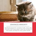 thumbnail image 3 of Yegbong Cat Supplement - Relieve Discomfort & Boost Nutrition - 60ml, 3 of 5