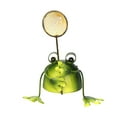 thumbnail image 2 of dianhelloya Handcrafted Metal Frog Garden Ornament, Whimsical Outdoor Decor Iron Sculpture, Durable Collectible Animal Figurine for Lawn, Patio, Desk, Gift, 2 of 8