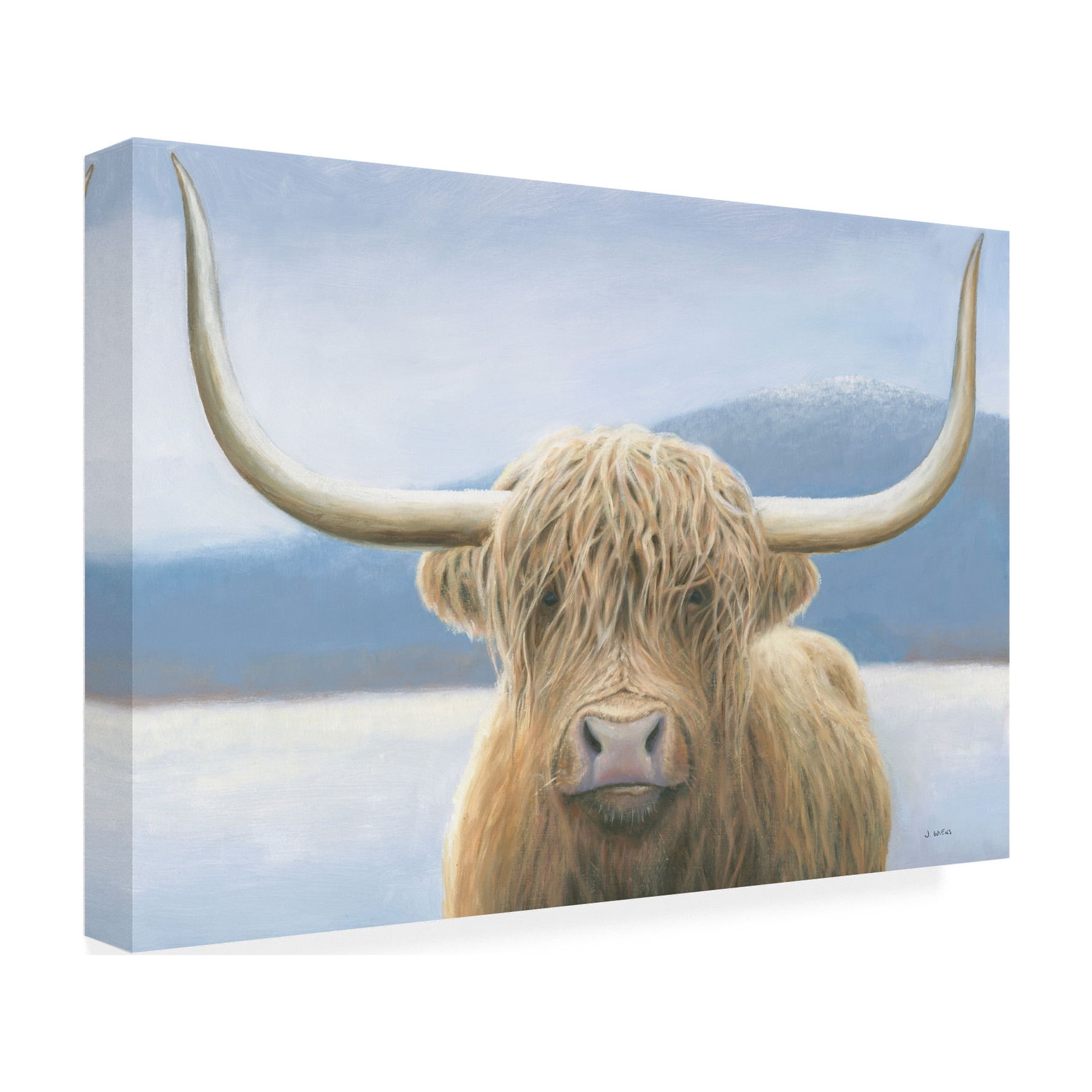 Trademark Fine Art 'Highland Cow' Canvas Art by James Wiens