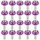 thumbnail image 1 of 20 tornillos para matrícula de motocicleta de 6 mm. Tornillos para modificación de motocicleta., 1 of 7