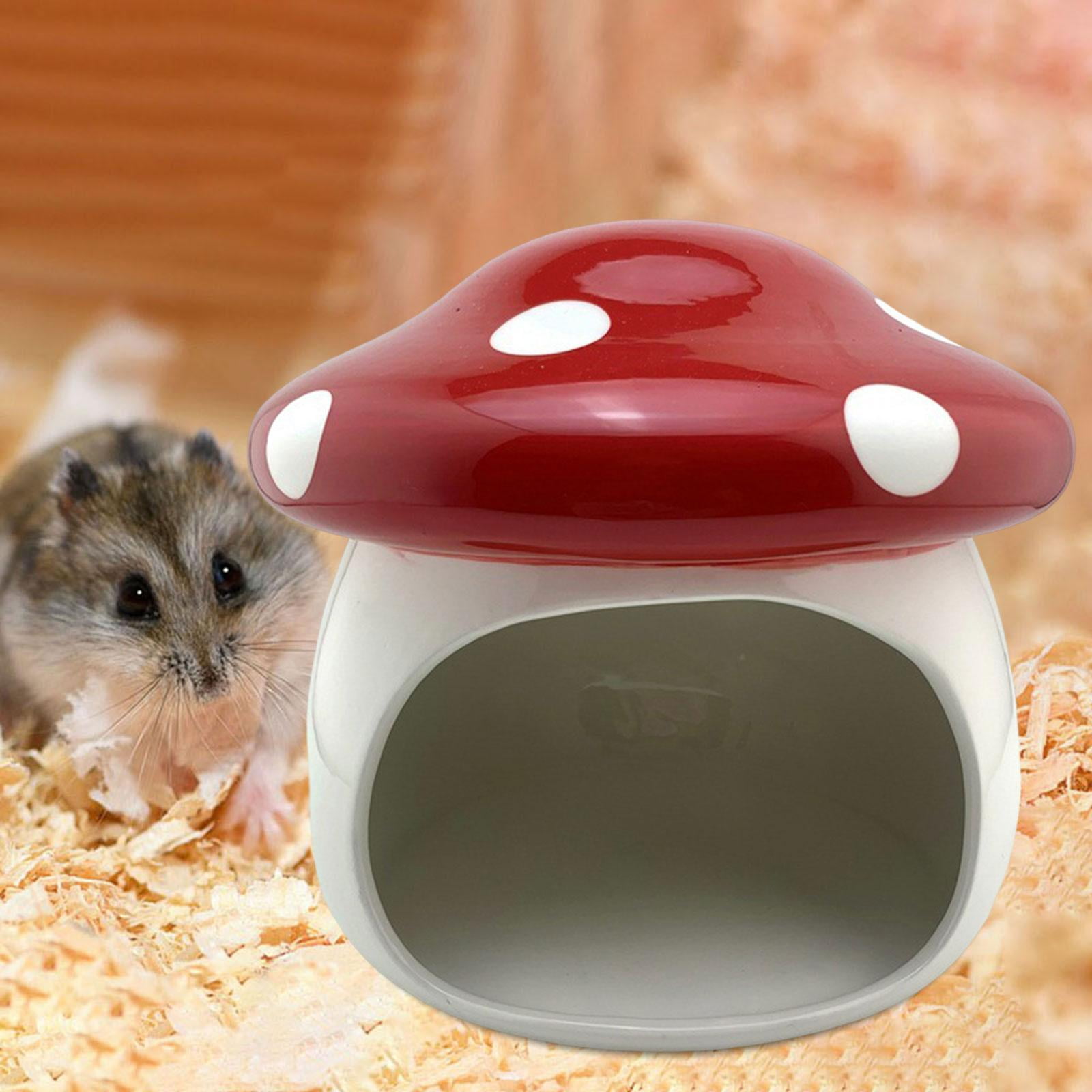 Hamster Houses Hideouts Hideaway House Habitats Critter Mini Huts