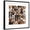 Black Frame, variant on Art.com Collage Of 36 Dog Heads Art Print by Life on White, 24" x 24"