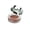 Crave, variant on Fusion Beauty SculptDiva Contouring & Sculpting Blush Cherub .30 Oz.