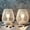 White, variant on Set of 2 Medium Battery Powered Outdoor lantern, Cordless Metal Lamp with LED Edison Bulb (Bronze)