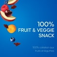 thumbnail image 3 of SunRype Fruit to Go +Veggie Bites Apple Berry Carrot, 8 x 14 g, 112.00 - 0.25 GR, 3 of 7