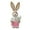 V, variant on ARUTOOY Easter Decorations Straw Easter Bunny Decor Bunny Figurines Home Decor Easter Standing Straw Rabbit for Indoor Garden Farmhouse