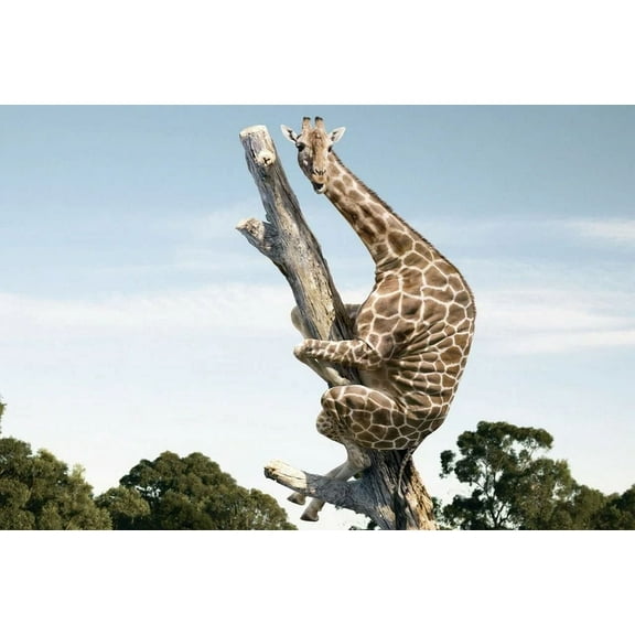 Kna Prints - 1 Pc Poster Silly Giraffe Poster Funny Animal Fun Gift #8867, UNFRAMED-8x12