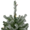 thumbnail image 5 of Northlight 3ct Pre-Lit Flocked Alpine Artificial Christmas Trees 4ft, 5ft and 6ft - Multi Lights, 5 of 8