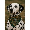 thumbnail image 1 of PAÑUELO TALLA M PARA MASCOTA  CON COLLAR DOBLE VISTA CAMISA - CUADROS, 1 of 7
