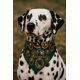 thumbnail image 4 of PAÑUELO PARA PERRO TALLA L CON COLLAR DOBLE VISTA CAMISA - CUADROS, 4 of 7