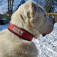 thumbnail image 4 of THE 2 INCH ULTRA HEAVY DUTY BDS COLLAR IN MATT RED COLOR, 4 of 4
