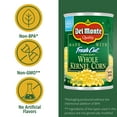 DEL MONTE FRESH CUT Golden Sweet Whole Kernel Corn, 15.25 oz Can