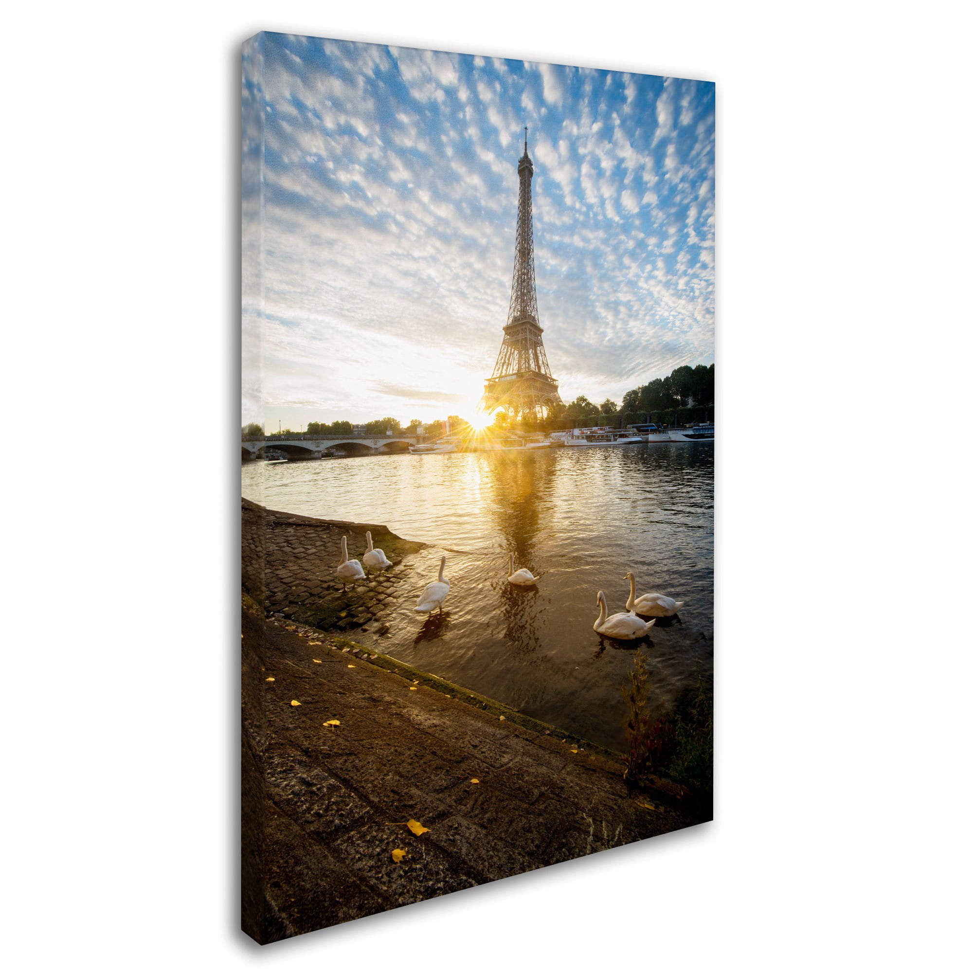 Trademark Fine Art "Wake up Paris" Canvas Art by Mathieu Rivrin
