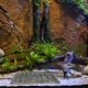 thumbnail image 4 of Greenadscape 1Ud 3D Fish Tank Background Board Sin Para Decorar Acuarios Y Terrarios, 4 of 6