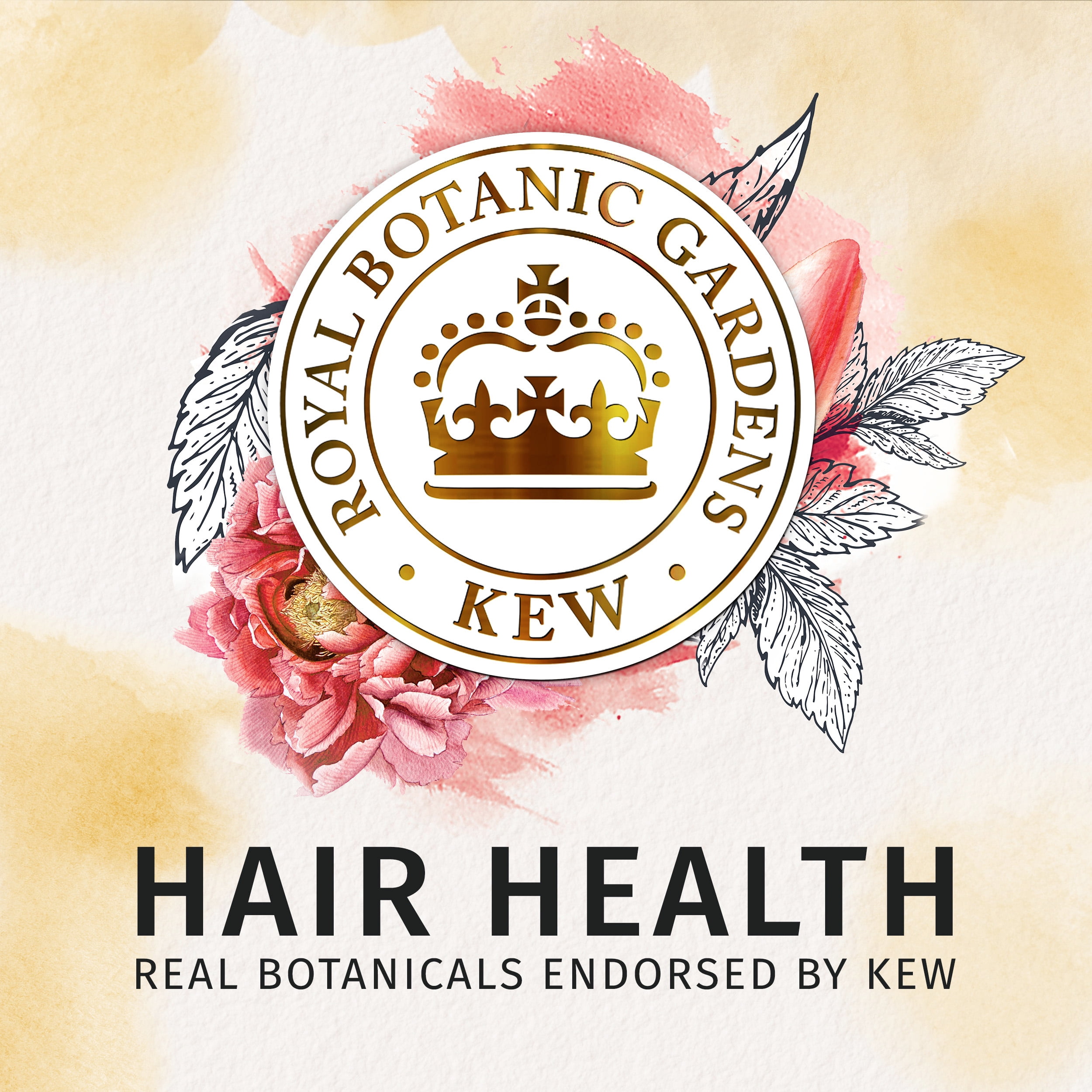 Herbal Essences Bio:Renew Honey Shampoo Conditioner Set, 12-13.5 oz