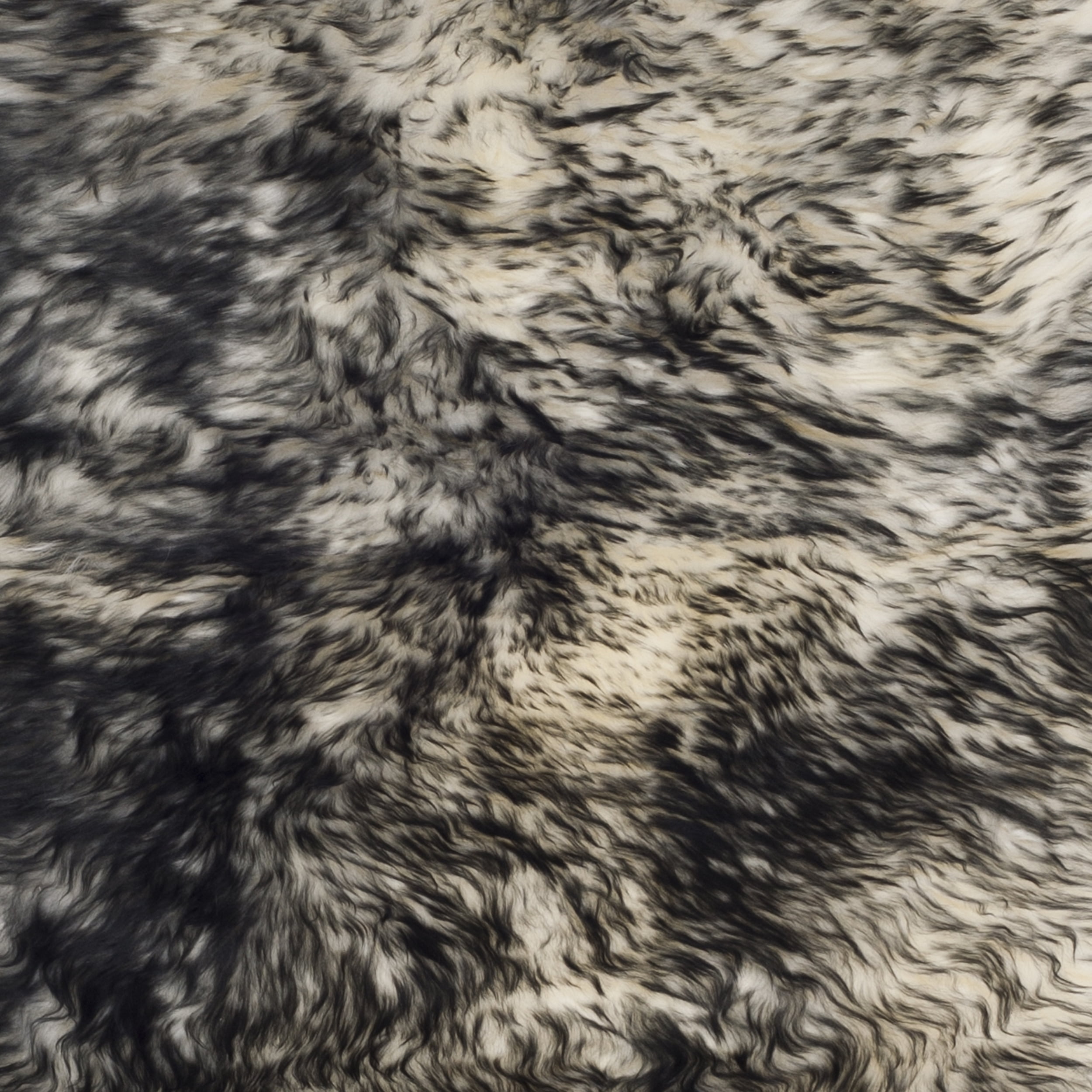 SAFAVIEH Sheep Skin SHS121G Ivory / Dark Charcoal Rug