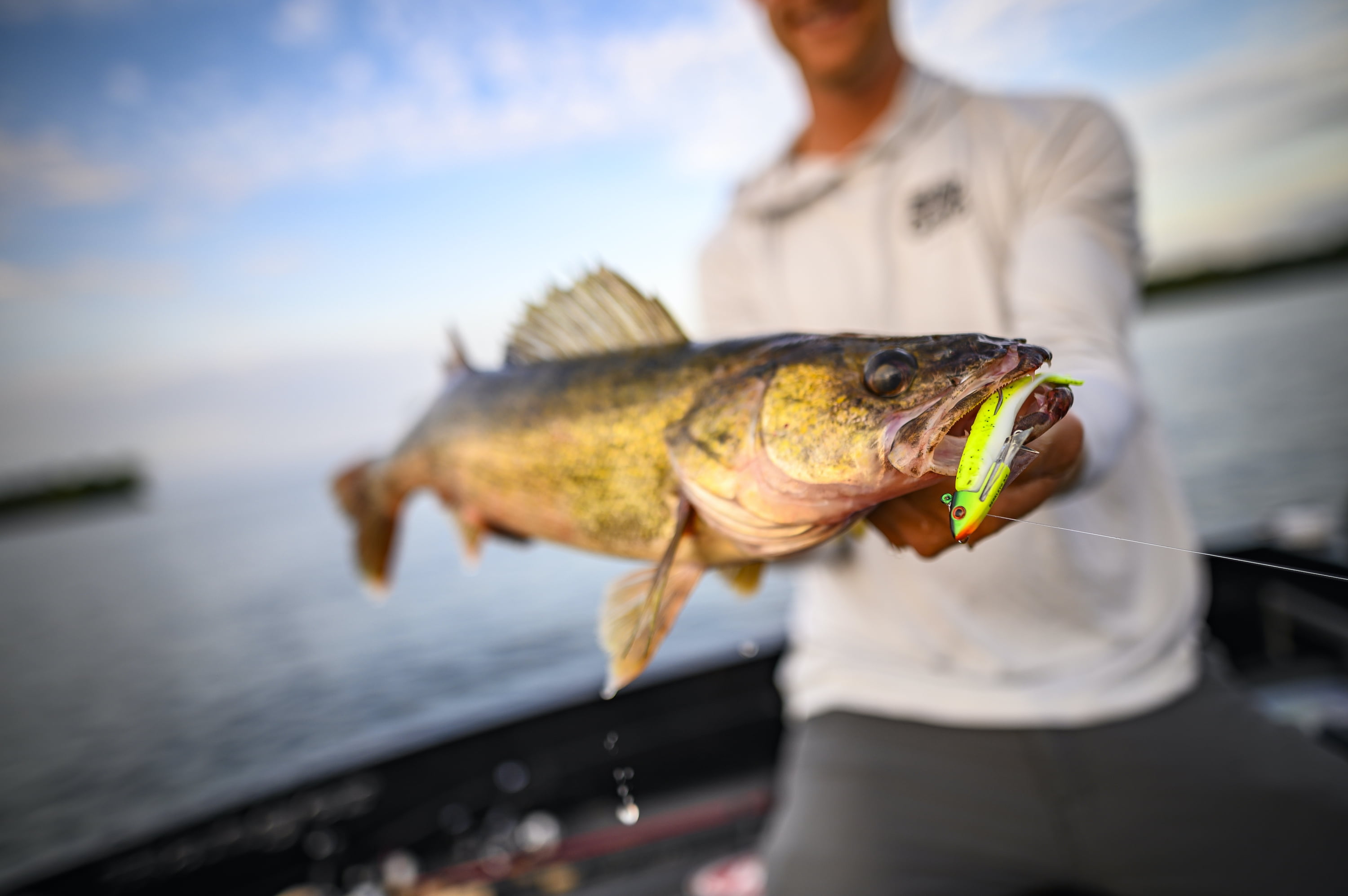 (2 pack) Gulp!® Minnow
