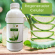 thumbnail image 3 of Jugo de Sábila Concentrado Orgánico (Aloe Vera) 100% Natural Sin Azúcar 1 Litro Radiant Xtend Aloe Vera, 3 of 9