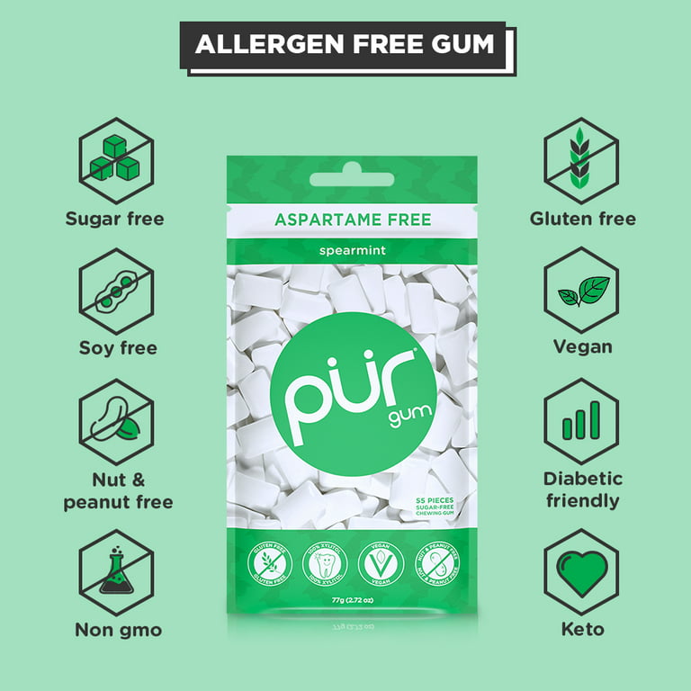 Pur Chewing Gum Spearmint Piece Bag 1 ct