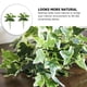 thumbnail image 5 of 2 piezas de hojas verdes simuladas, ramas decorativas, hojas verdes artificiales, plantas, 5 of 6