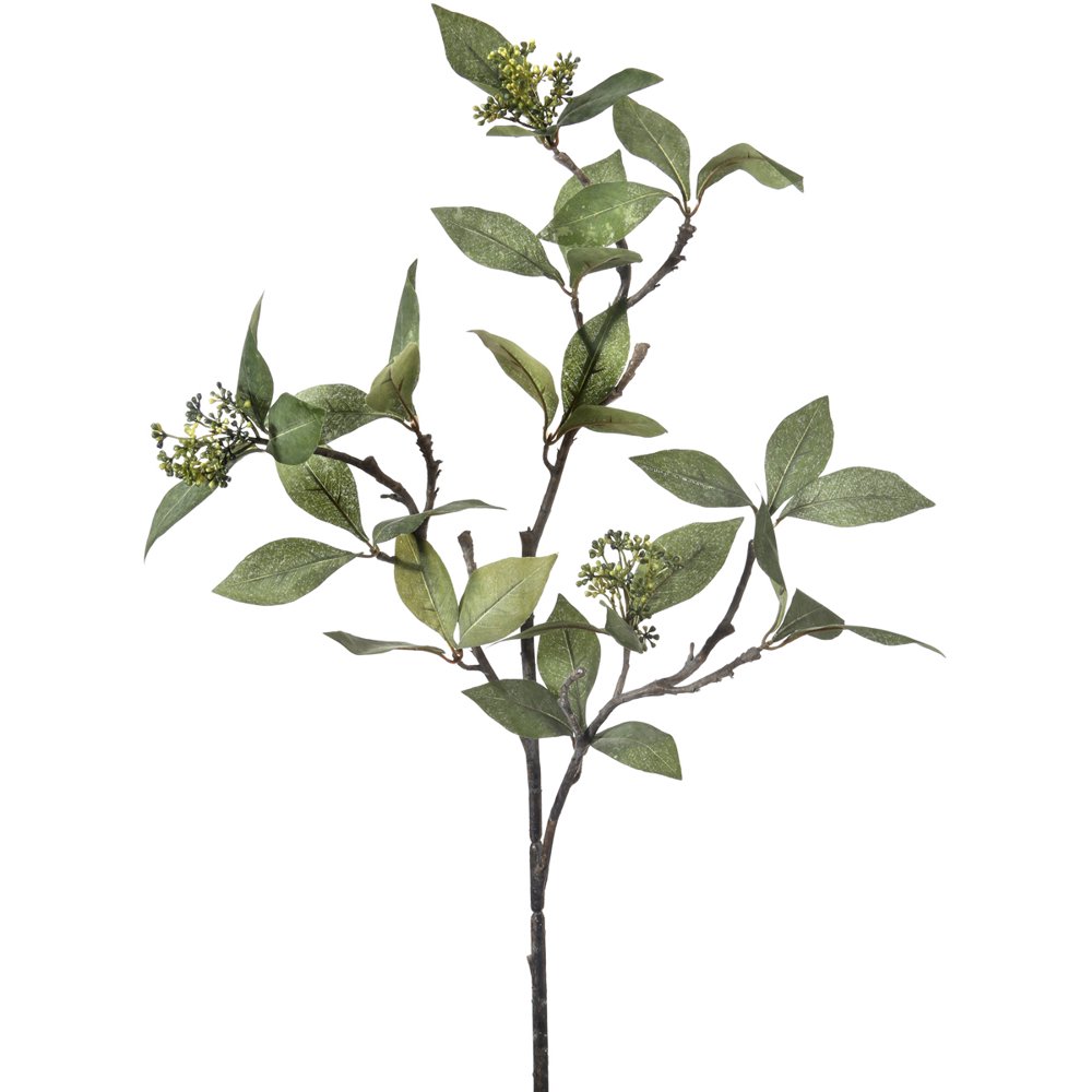 Seeded Bay Leaf Branch 32"Natural Green