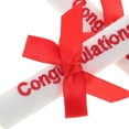 thumbnail image 3 of Homoyoyo Graduation Party Favor Set, 4Pcs Multi-Fabric Diploma Roll Decorations for Graduation Celebration, 3 of 7
