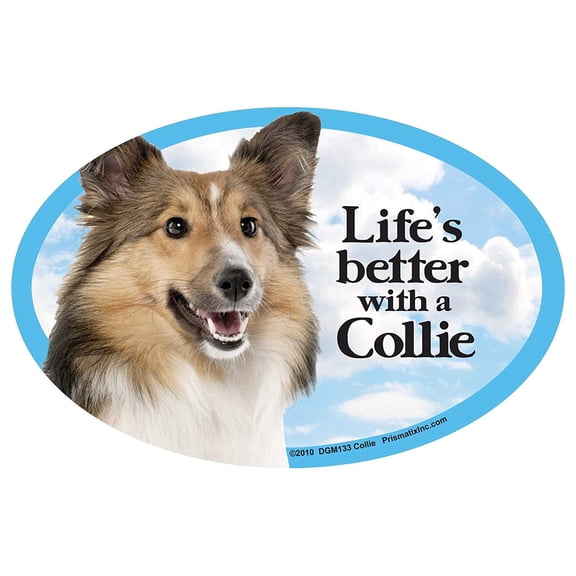 Collie Oval Dog Magnet for Cars