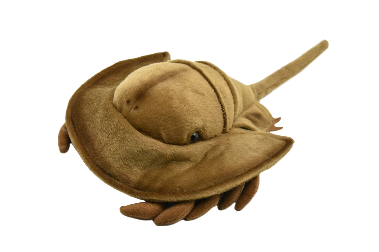 Horse Shoe Crab, Realistic, Lifelike, Stuffed, Ocean, Beach, Soft, Toy