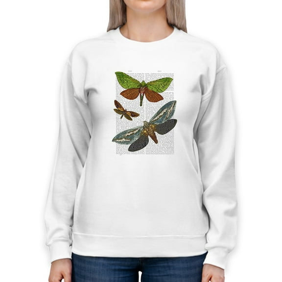 Butterflies On Paper Iii. Sweatshirt Women -Fab Funky Designs, Female 3X-Large