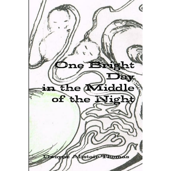 One Bright Day in the Middle of the Night, (Paperback)