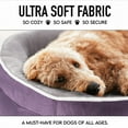 thumbnail image 6 of Ophanie Purple Luxury Sofa-Style Pet Orthopedic Bed for Medium Dogs – Removable Machine-Washable Plush Cover, 4-Sided Bolster, Non-Slip Bottom, Size 35"x28"x6", 6 of 7
