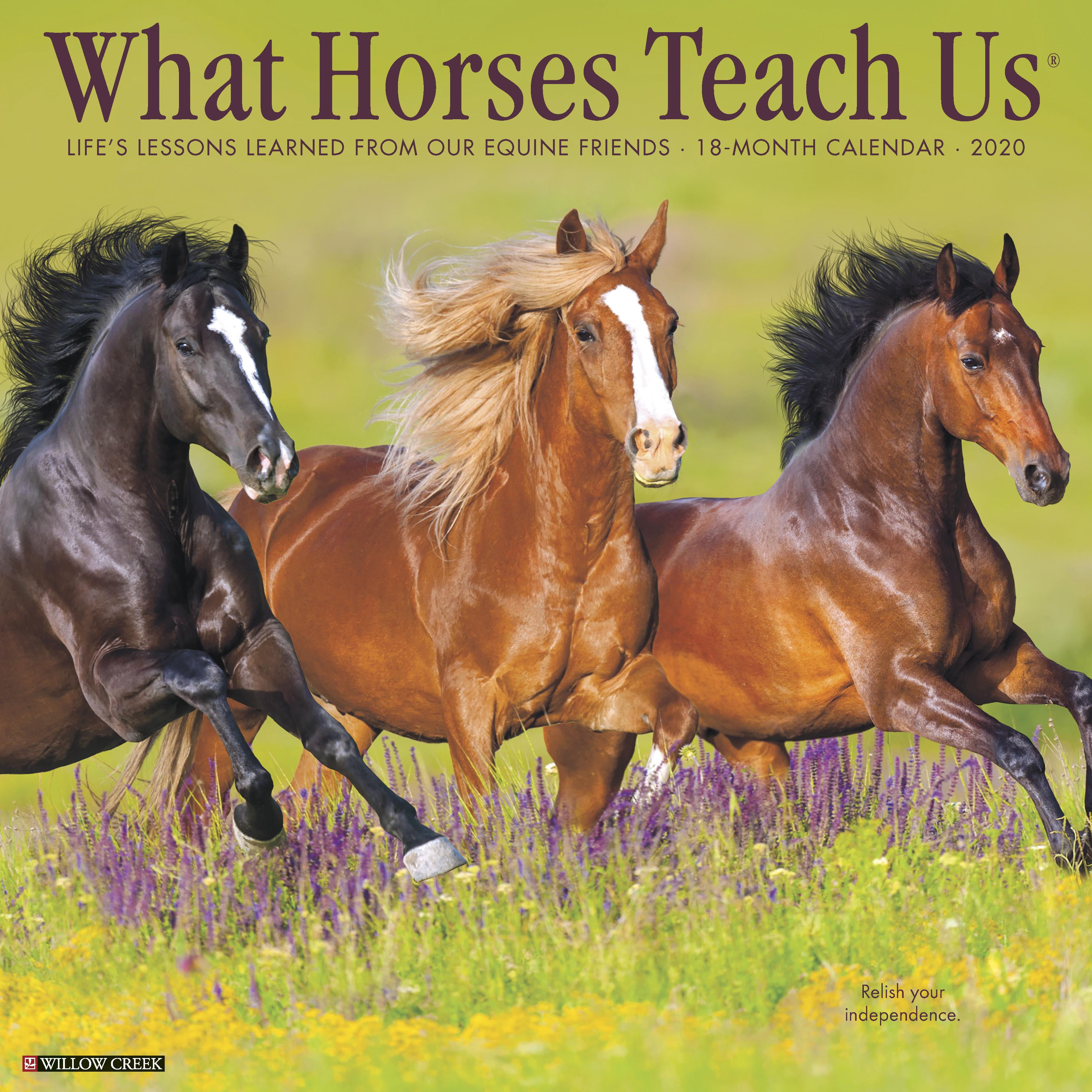 What Horses Teach Us 2020 Wall Calendar (Other)