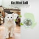 thumbnail image 5 of Juguetes De Hierba Gatera Dinosaur Cat Candy Licking Snacks Juguetes de hierba gatera giratoria Suministros para mascotas (Verde) Sywqhk Libre de BPA, 5 of 8