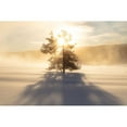 thumbnail image 2 of The Yellowstone Collection 18x13 Black Modern Framed Museum Art Print Titled - Sunrise near Terrace Spring, Yellowstone National Park, 2 of 4