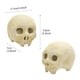 thumbnail image 3 of Halloween Skull Decorative Ceramics Reusable Halloween Party Decoration Props Stove Burning Props 4pcs, 3 of 9