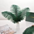 thumbnail image 6 of Blackish Green Ostrich Feathers Bulk- 24pcs 10-12inch for Wedding Party Centerpieces Christmas Decor, 6 of 14
