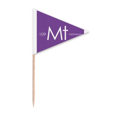 thumbnail image 1 of Chestry Éléments Période Table Transition Métaux Meitnerium Mt Cure-Dent Triangle Cupcake Toppers Drapeau, 1 of 3