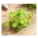 thumbnail image 3 of Billuyoard Simulación de flores artificiales, plantas de plástico falsas portátiles, centro de de boda, escritorio de recepción, decoración Decoración Mostrar como imagen Billuyoard JJ5154-00, 3 of 6