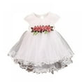 thumbnail image 3 of 0-24M Infant Baby Girls Short Sleeve Tutu Dress Kids Lace Flower Princess Tulle Dress, 3 of 3